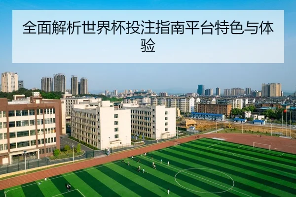 全面解析世界杯投注指南平台特色与体验