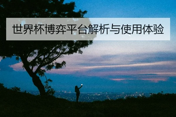 世界杯博弈平台解析与使用体验