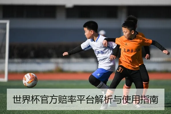 img_1780592075858_41_1_682.jpg