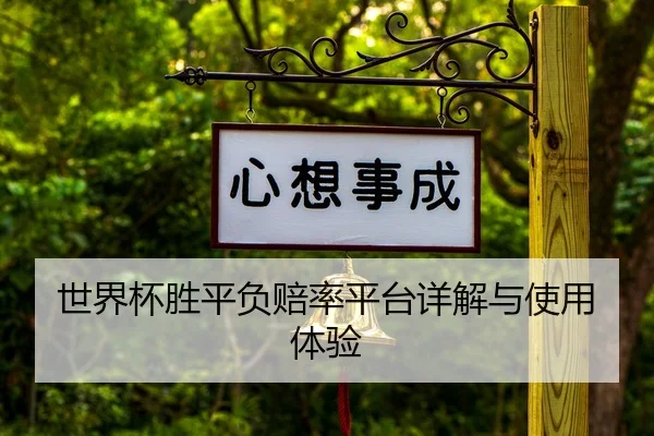 世界杯胜平负赔率平台详解与使用体验