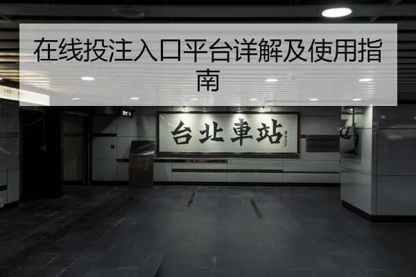 在线投注入口平台详解及使用指南